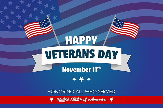 veterans-day-explained-book-review-and-ratings-by-kids-kavi-dolasia