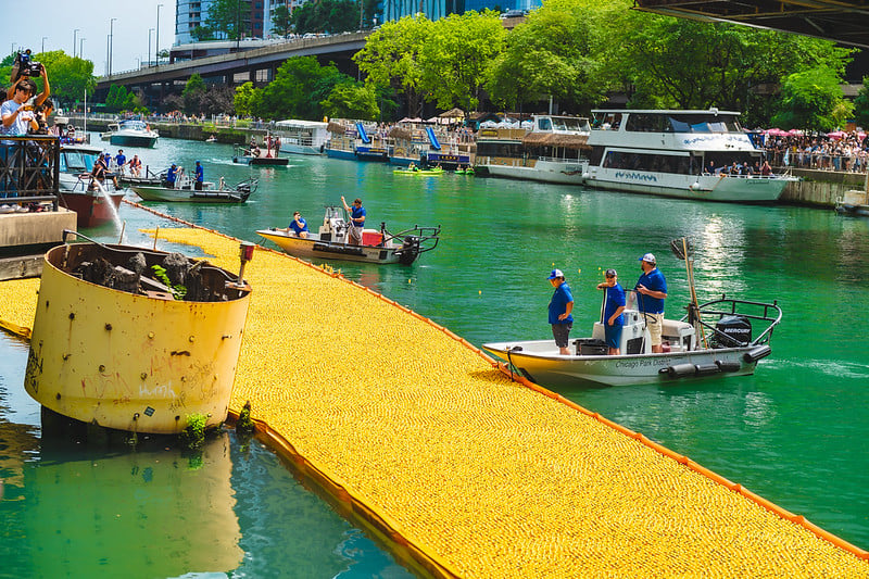 Thousands Of Rubber Ducks Race Down Chicago River For Charity