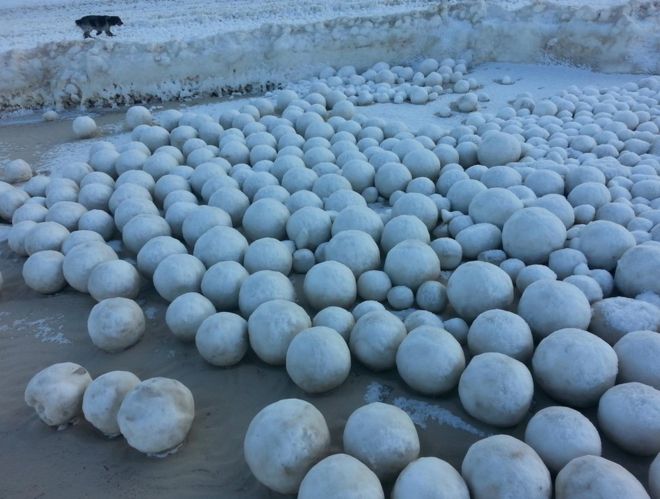 Video Of The Week - Giant Snowballs Delight Locals In Siberia