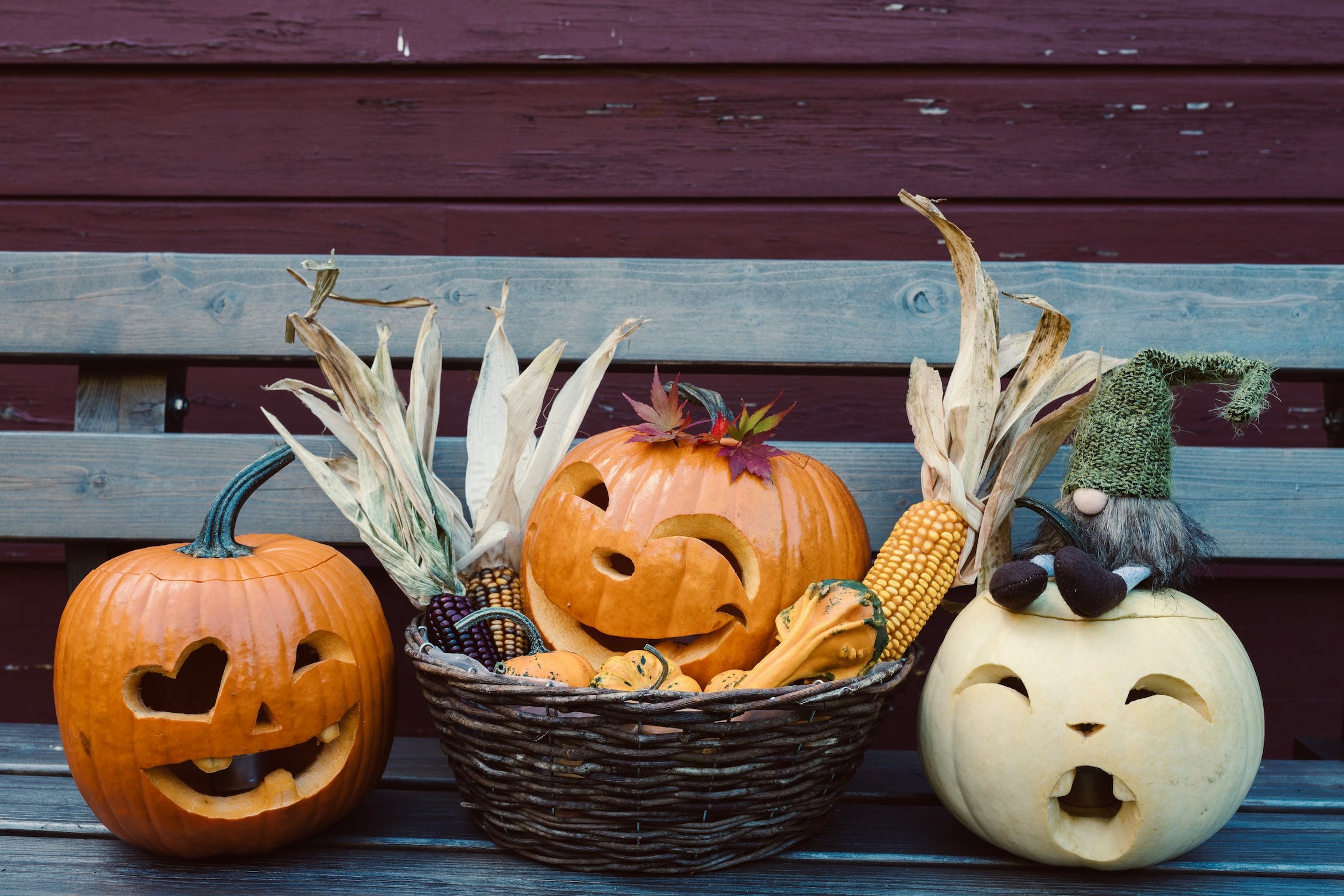 The Spooky Truth About Halloween Pumpkins