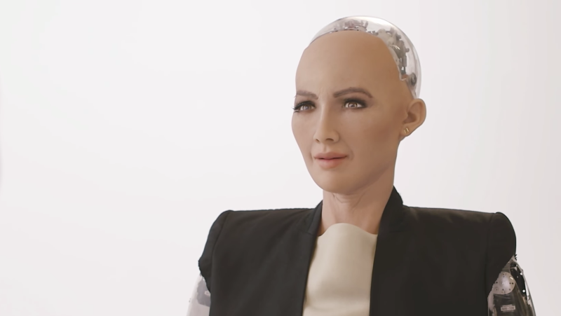 The first human robot hot sale sophia