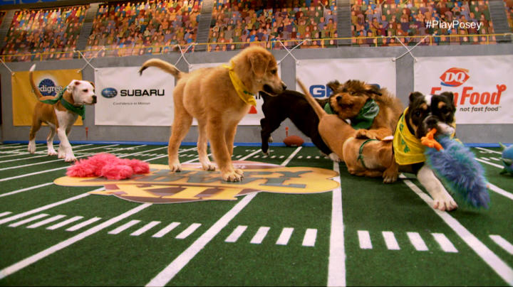 Museum of Fine Arts, Boston - Football, food and watching cute four-legged  furballs—as New England Patriots fans, the Puppy Bowl is our version of  Super Bowl Sunday this year 