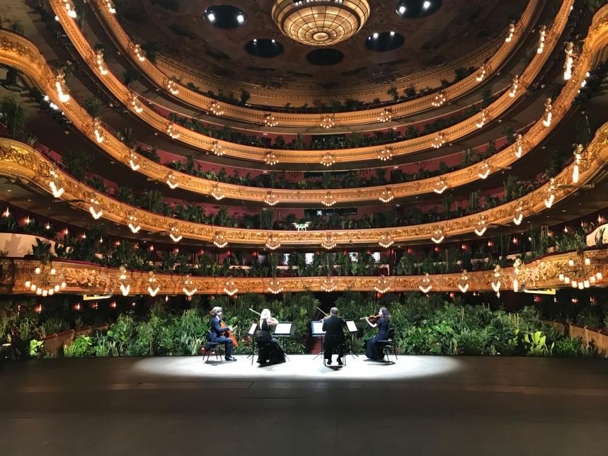 Barcelona Opera House Reopens To A Sold-Out Audience Of Potted Plants!