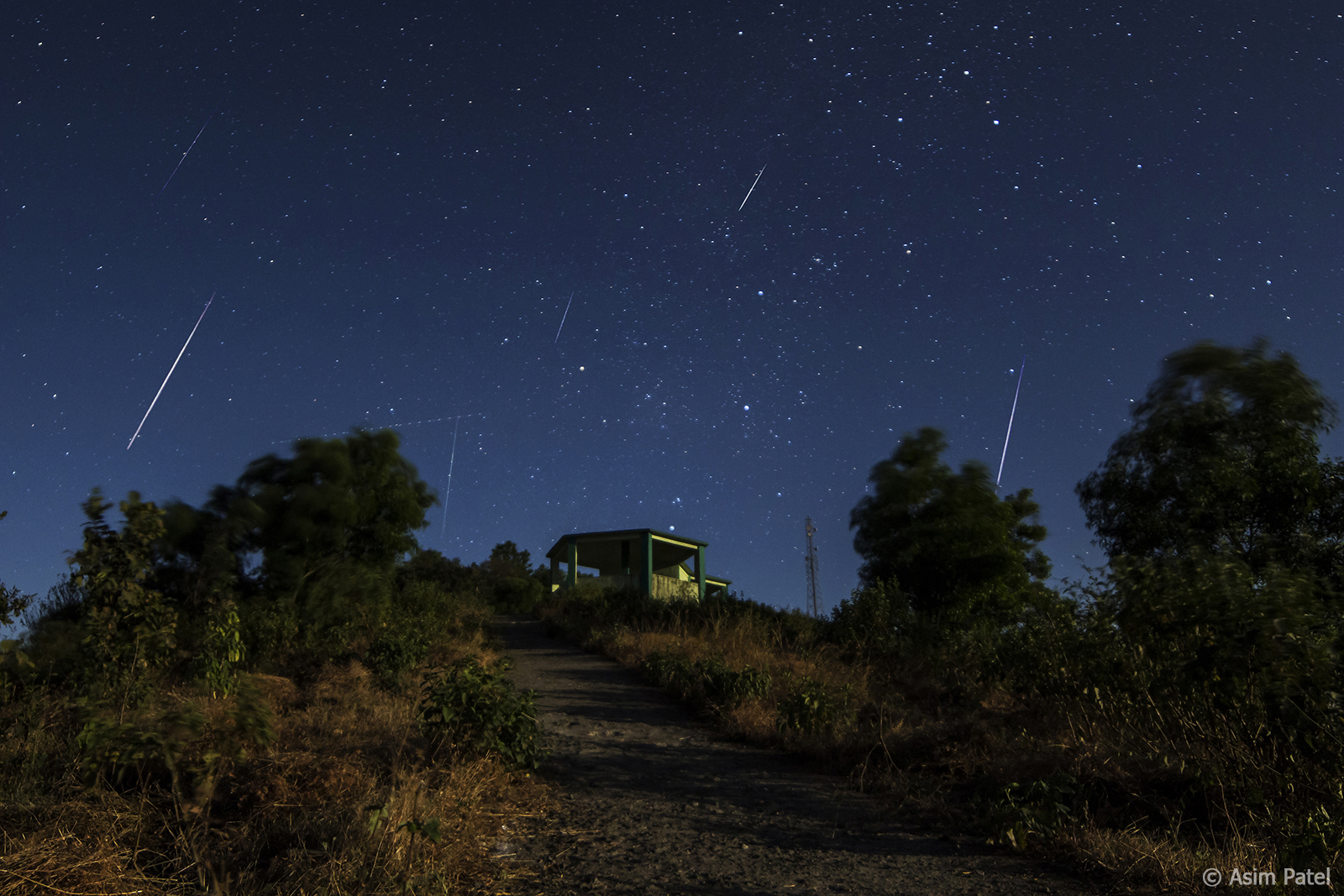 Geminid Showers Promise A Stellar Show This Week