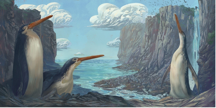 Fossil Found By Student Naturalists Turns Out To Be New Species Of Ancient Giant Penguins