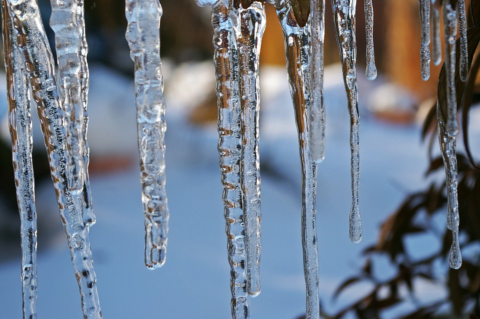 Suffering From Intense Winter Blues? Blame It On The Brain Circuit