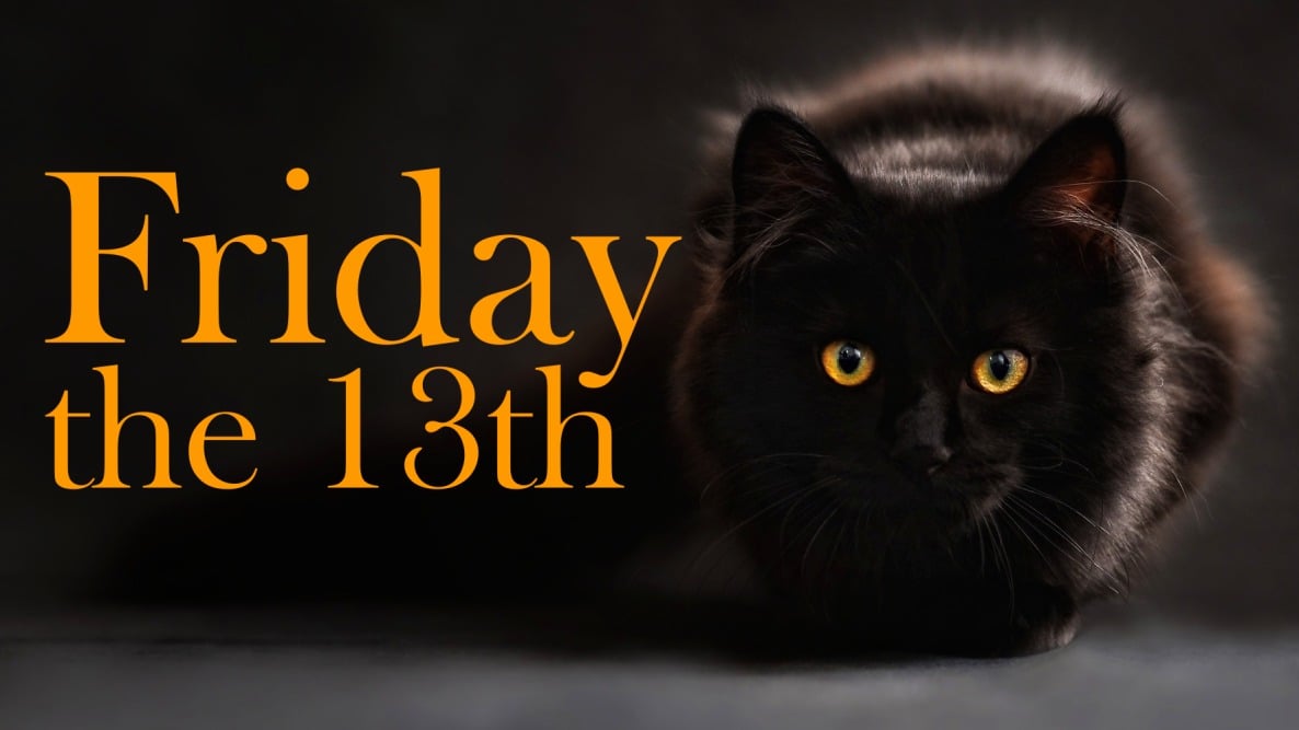 Friday The 13th Funny Cat