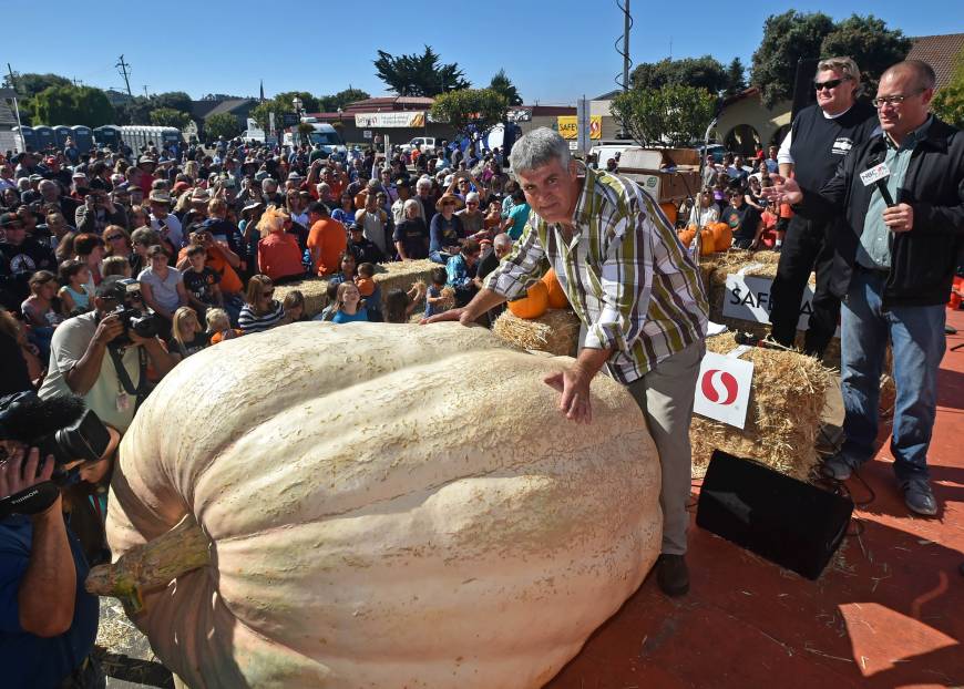 Half Moon Bay Hosts 'Super Bowl' Of Pumpkin Weigh-Offs