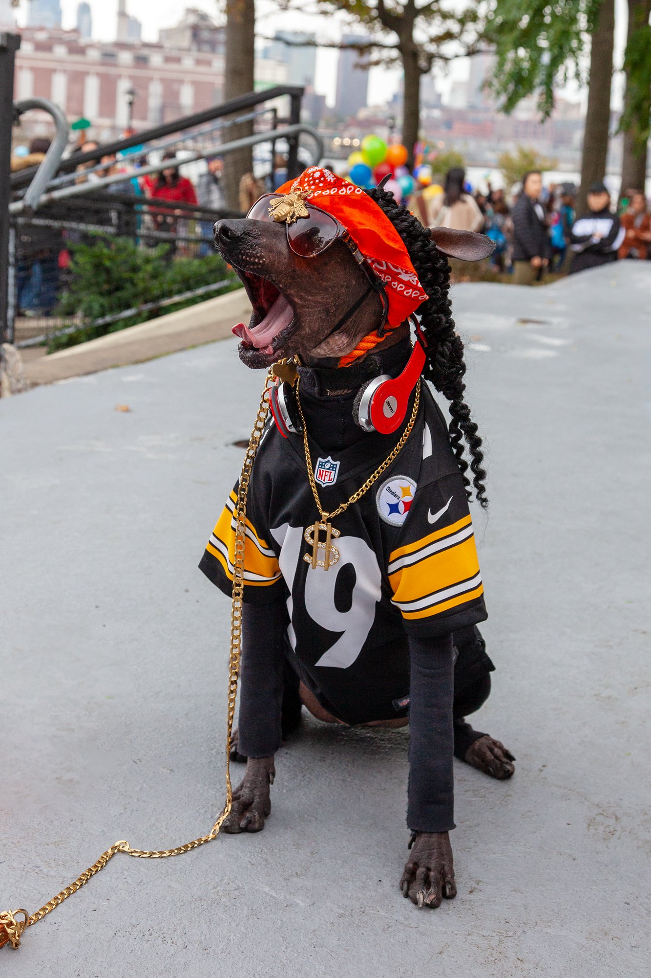 Costumed pooches take over Tompkins Square Dog Halloween Parade