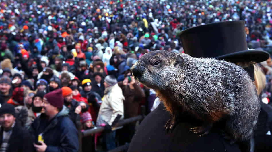 Punxsutawney Phil Predicts An Early Spring For The Second Consecutive Year!