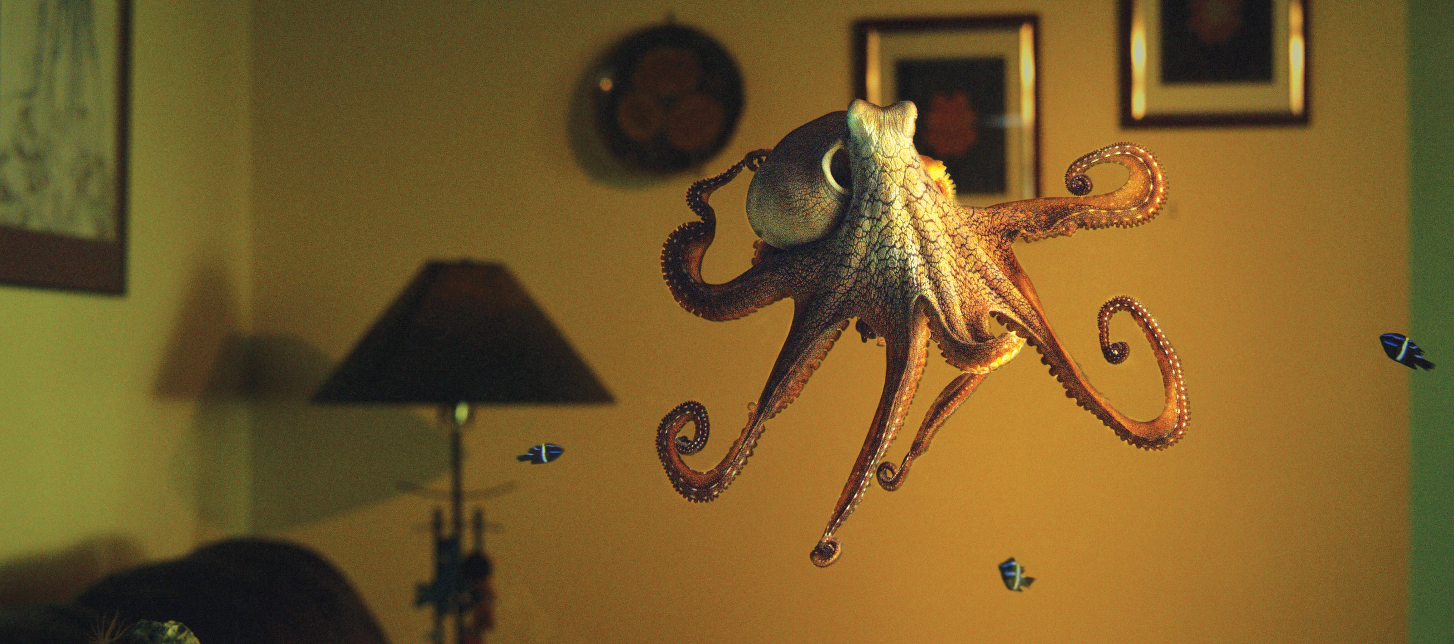 mood pet octopus