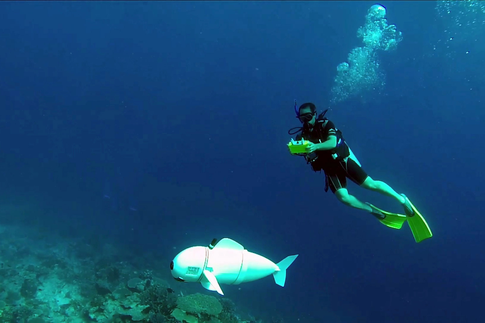 This robotic fish spies on real fish 