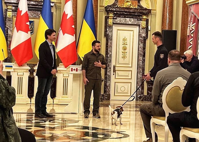 Ukrainian Bomb-Sniffing Dog Gets A Medal From President Volodymyr Zelenskyy