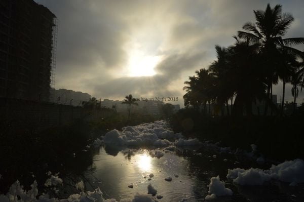 Severe Pollution Causes India's Bellandur Lake To Spew Toxic White Foam