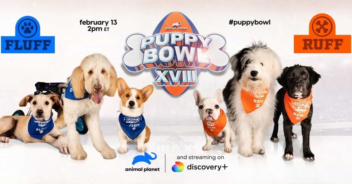 discovery puppy bowl