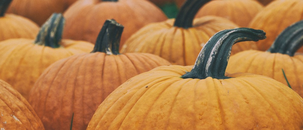 The Frightful Truth About Halloween Pumpkins