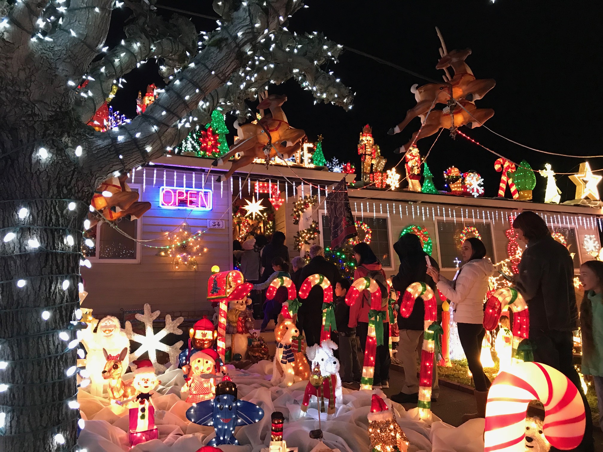 California Home Transforms Into Winter Wonderland For The Holidays