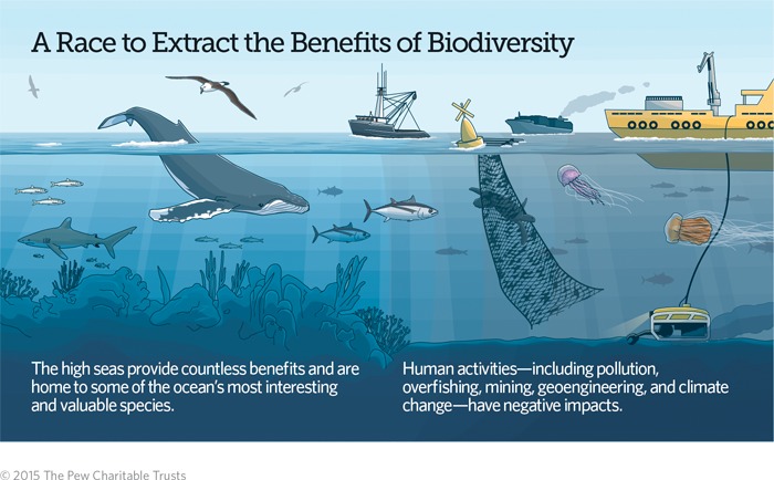 Will the new U.N. High Seas Treaty help protect Pacific salmon? - High  Country News