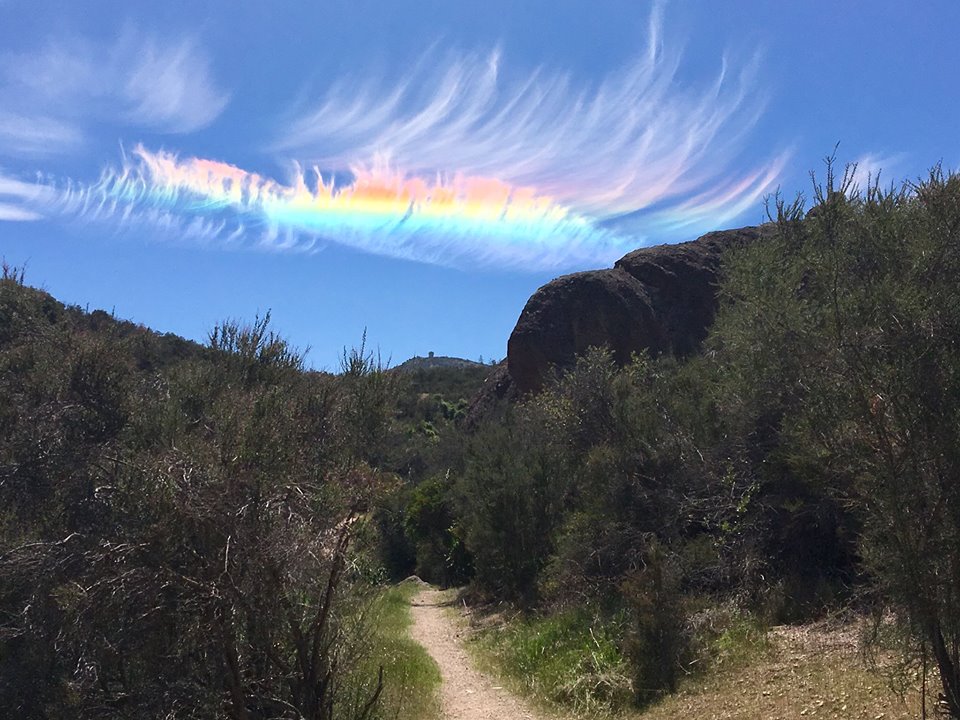 The Dodgers Have Undergone a Baptism of Rainbow-Colored Fire