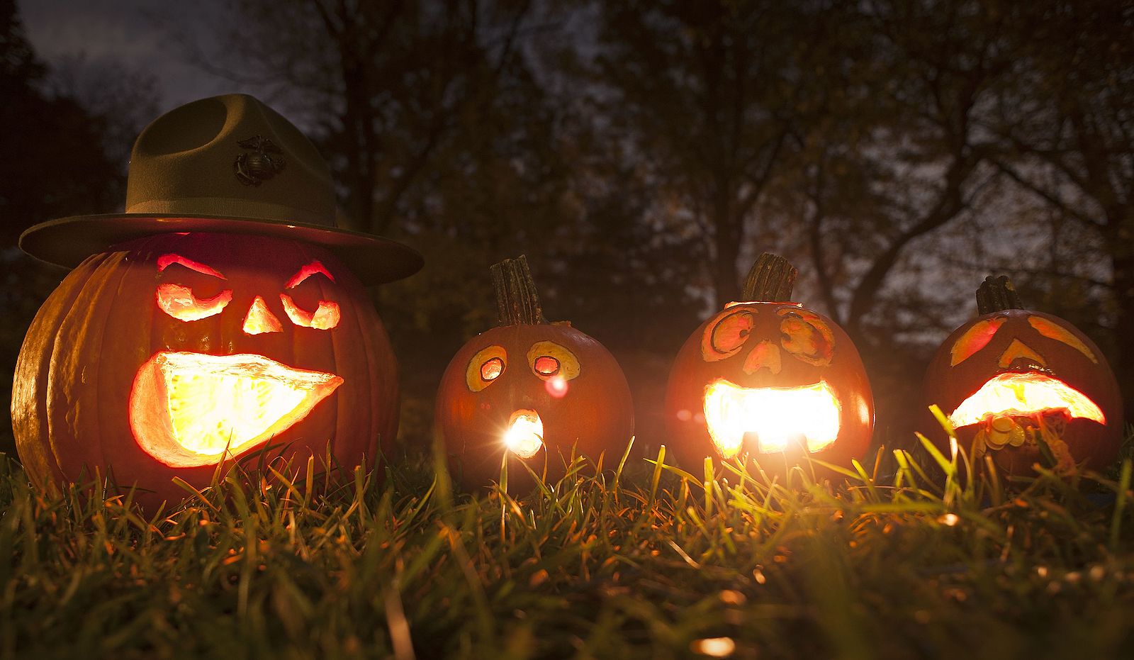 Eating Your Halloween Pumpkin Is Good For Your Tummy And The Planet!