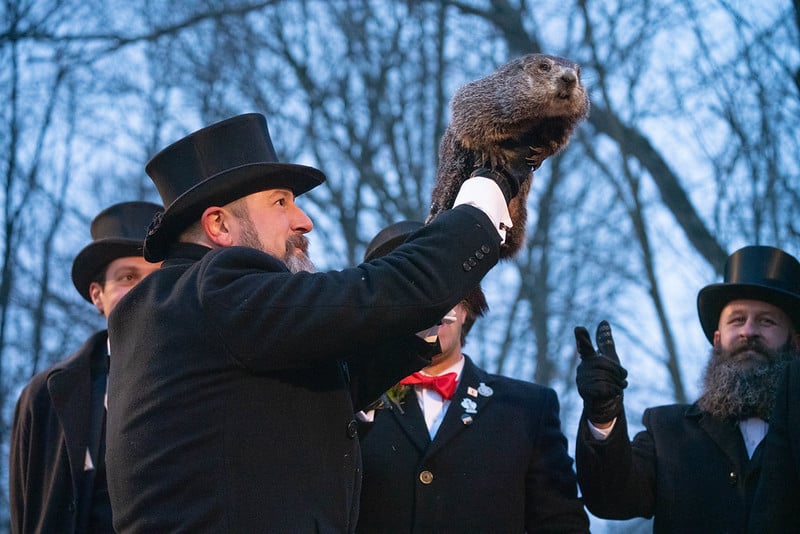 Groundhog Day 2023 Punxsutawney Phil Predicts an Extended Winter! Book