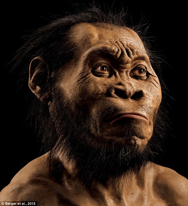 Is Homo Naledi A New Species Of Human Ancestor?