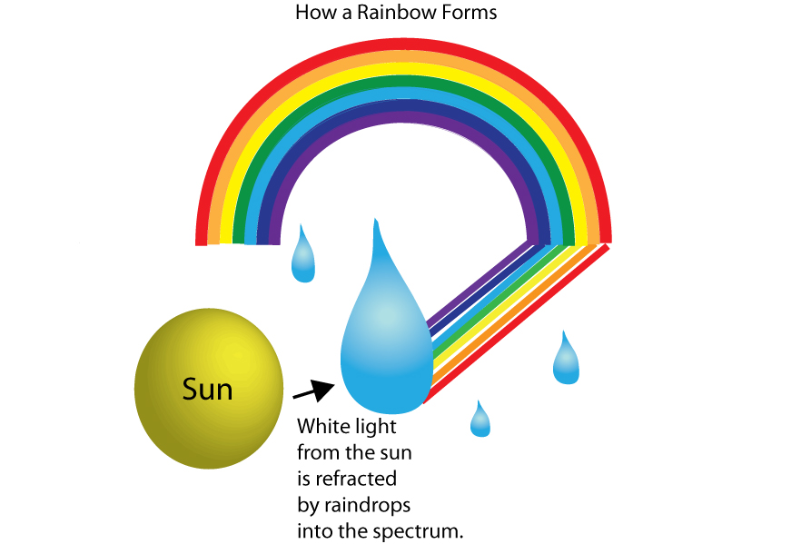 Guess What? There Are Twelve Kinds Of Rainbows! Kids News Article