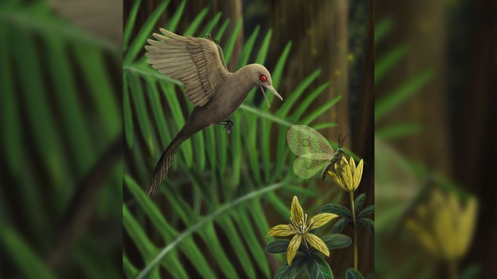 The World's Smallest-Known Dinosaur Measured Less Than 2.25 Inches!