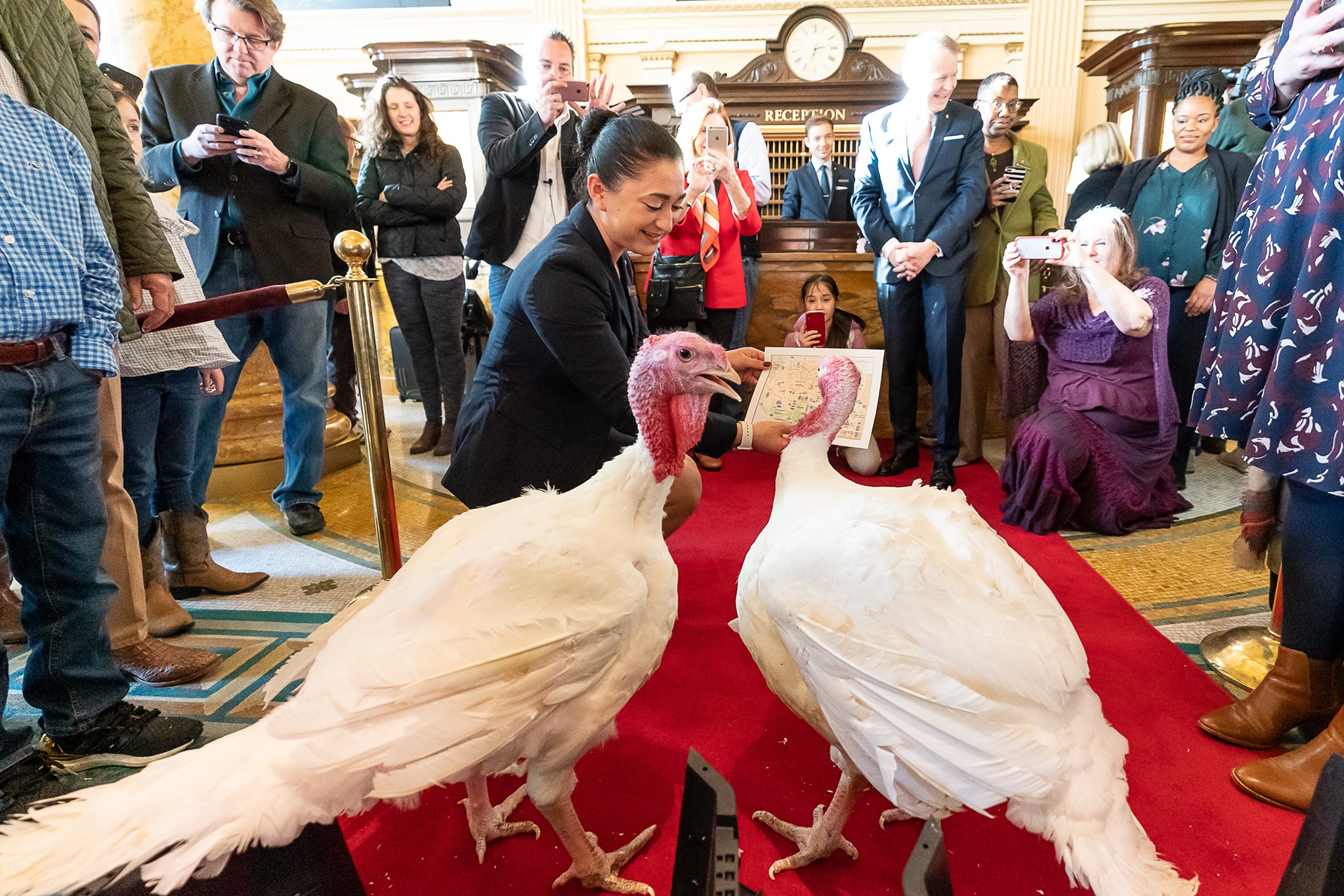 Happy Thanksgiving! Trump pardons NC turkeys “Bread” and “Butter”