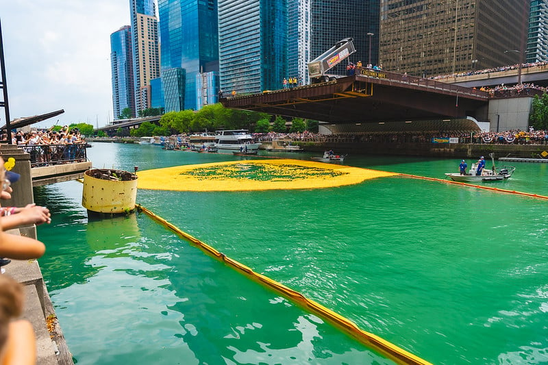 Etats-Unis : une « course » de canards en caoutchouc jaunes à Chicago