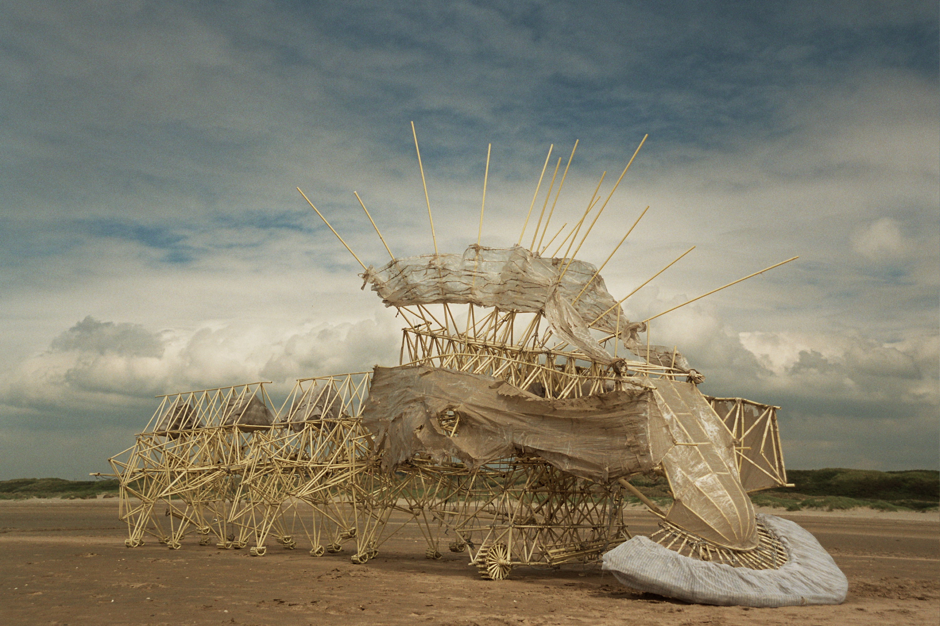 Theo Jansen's Whimsical Strandbeests Come To America