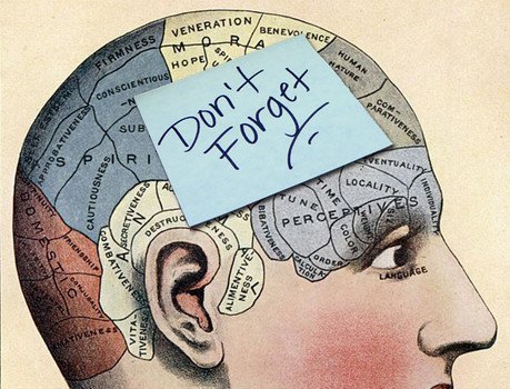 Researchers Believe Forgetting Things May Make You Smarter