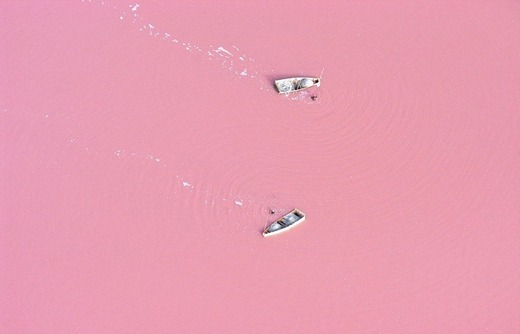 The Secret Behind Senegal's Pink Lake