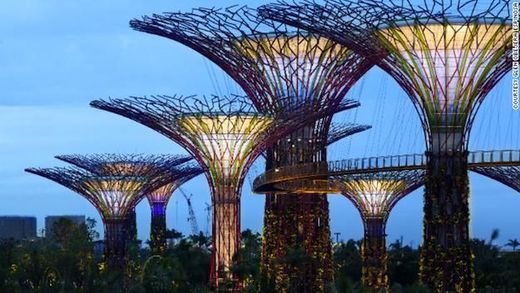 Futuristic Super-Trees To Soon Light Up Singapore's Marina Bay