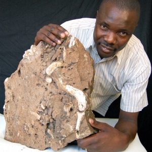 University of Witwatersrand Technician Discovers Almost Complete Pre-Human Skeleton