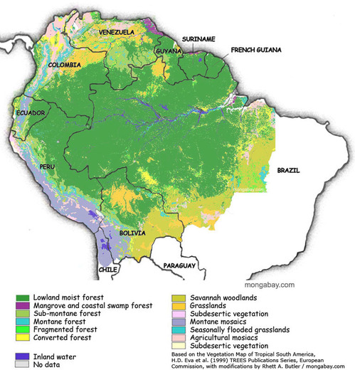 amazon rainforest deforestation shows positive trends kids apa pie chart