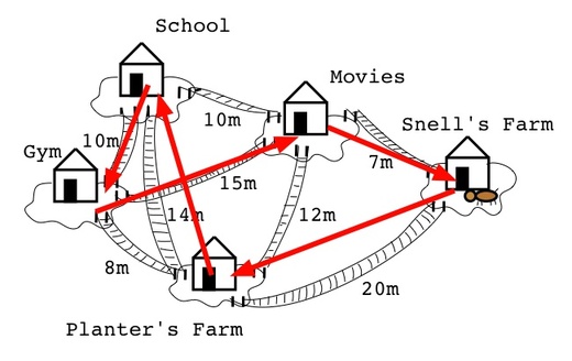 travelling salesman bees