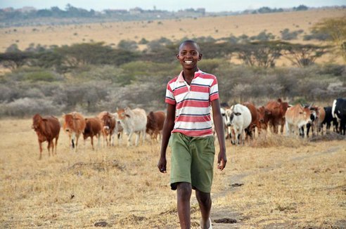 Young Boy's Brilliant Invention Ensures Harmony Between Man And Beast