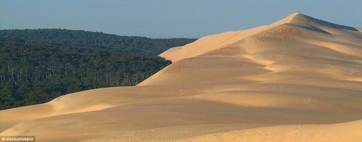 Europe's Largest Sand Dune Continues To Make Inroads