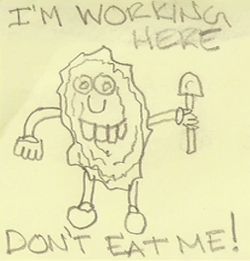 How The Humble Oyster May Help Save Coastal Cities And Clean Polluted Waters