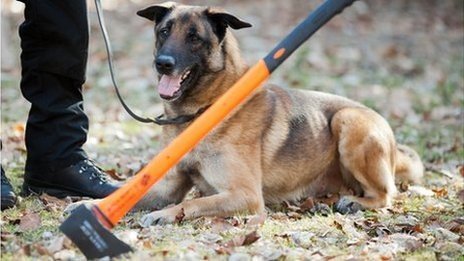 England's Retired Police Dogs To Receive Pension