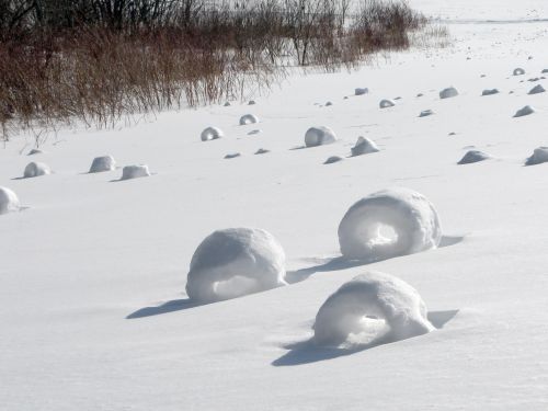 American Winter Freeze Results In Some Cool Natural Phenomena