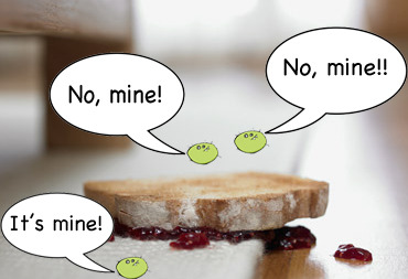 Is The Five-Second Rule Valid? Depends On Who You Ask!