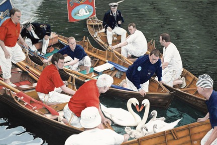 Come Hither, Little Swan! The Queen Requests Your Presence